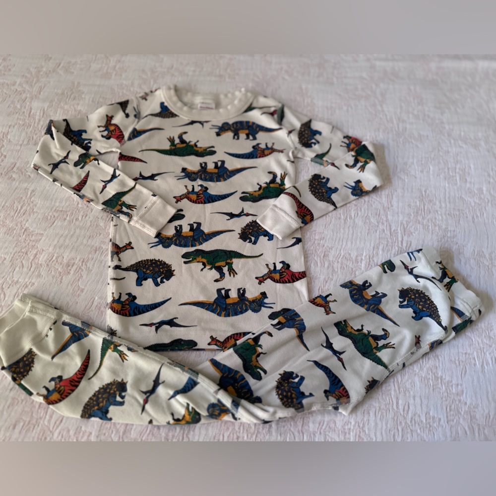 Hanna Andersson Organic Cotton Multicolor Dinosaur Kids Pajama Set